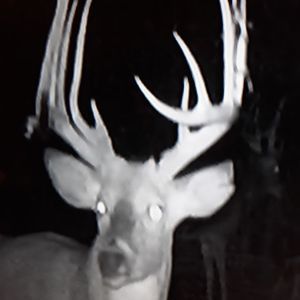 Meet your Posher, James cathcart